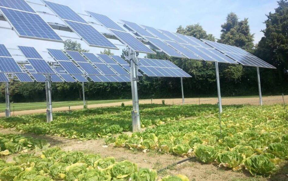 Agrivoltaics- Harvesting solar energy twice