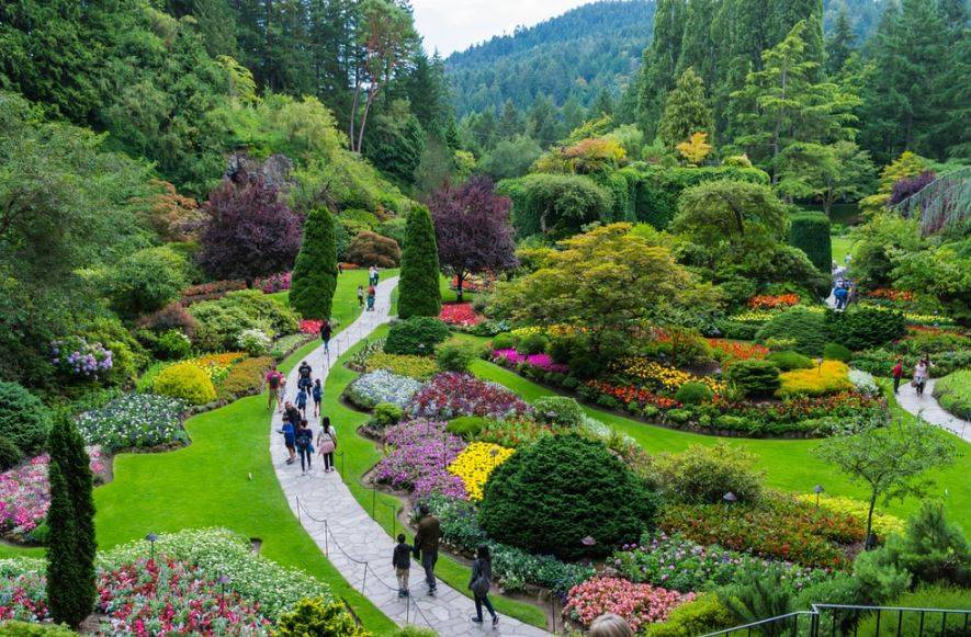 Beautiful Picture of a biodiversity park