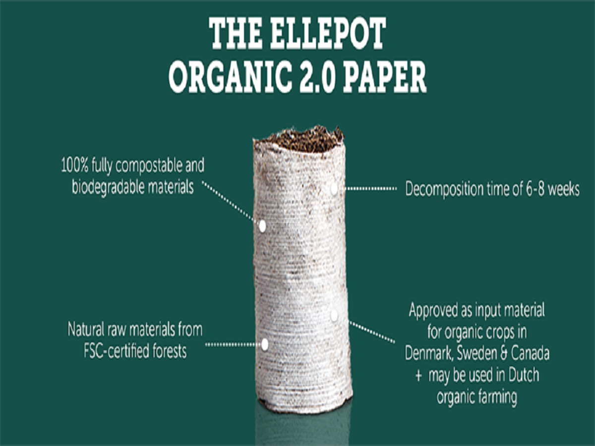 Organic paper pot and its features