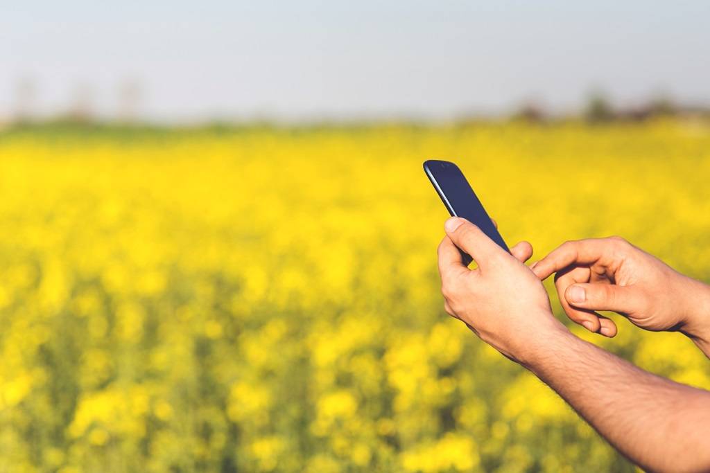 A farmer using app in the mobile