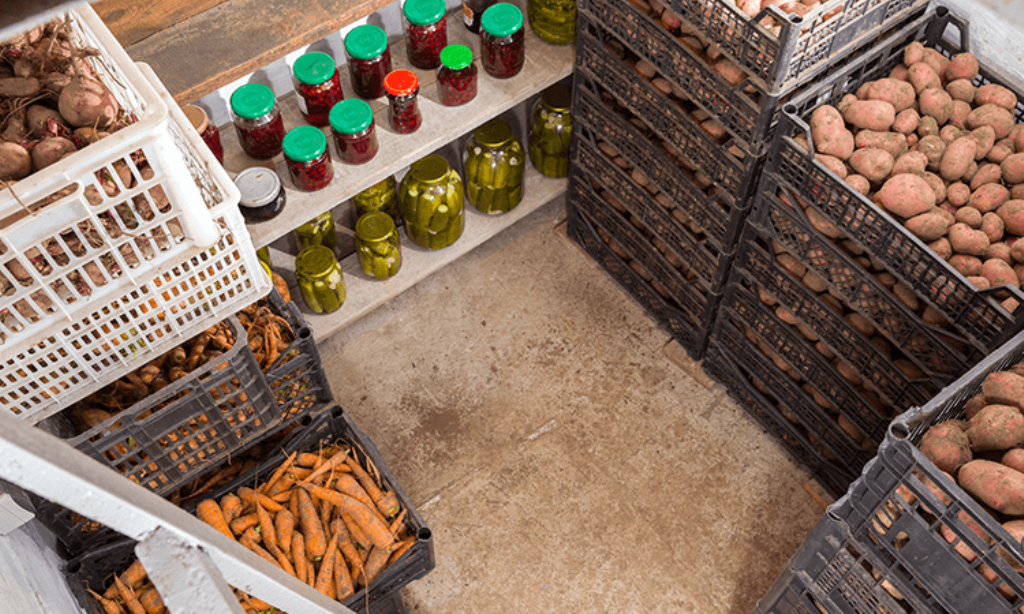 Stored Vegetables