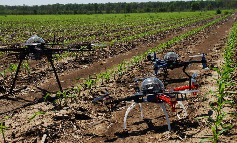 UAV System for Crop Health Monitoring