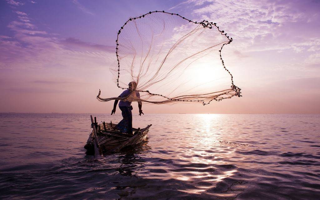 A Fish Farmer Engaged in Catching Fish