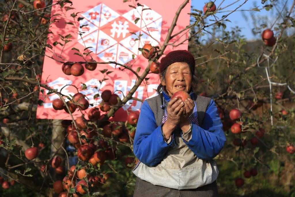 Fruit Farmer of China