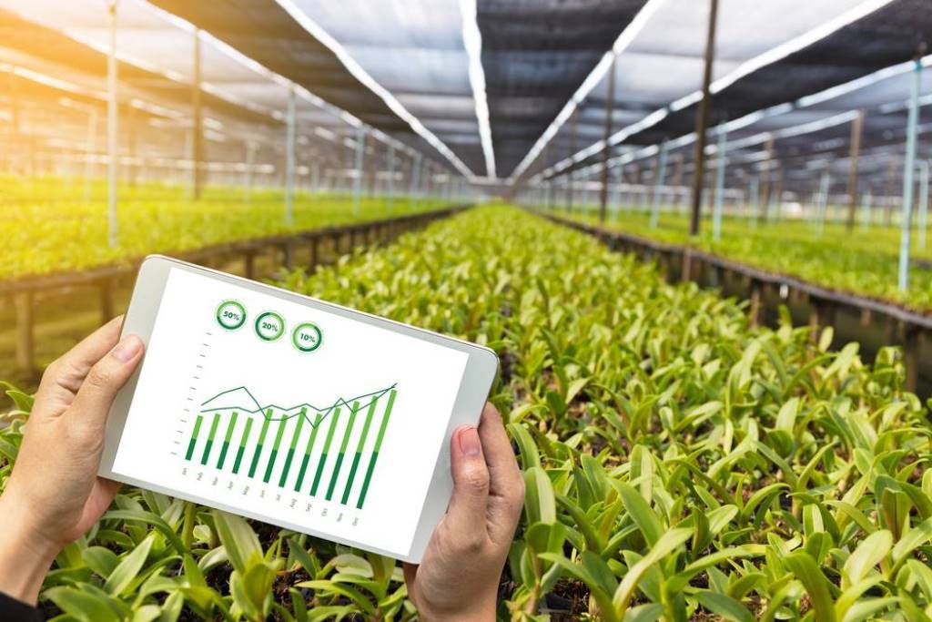 Smart Farming Management Technology  In Agriculture
