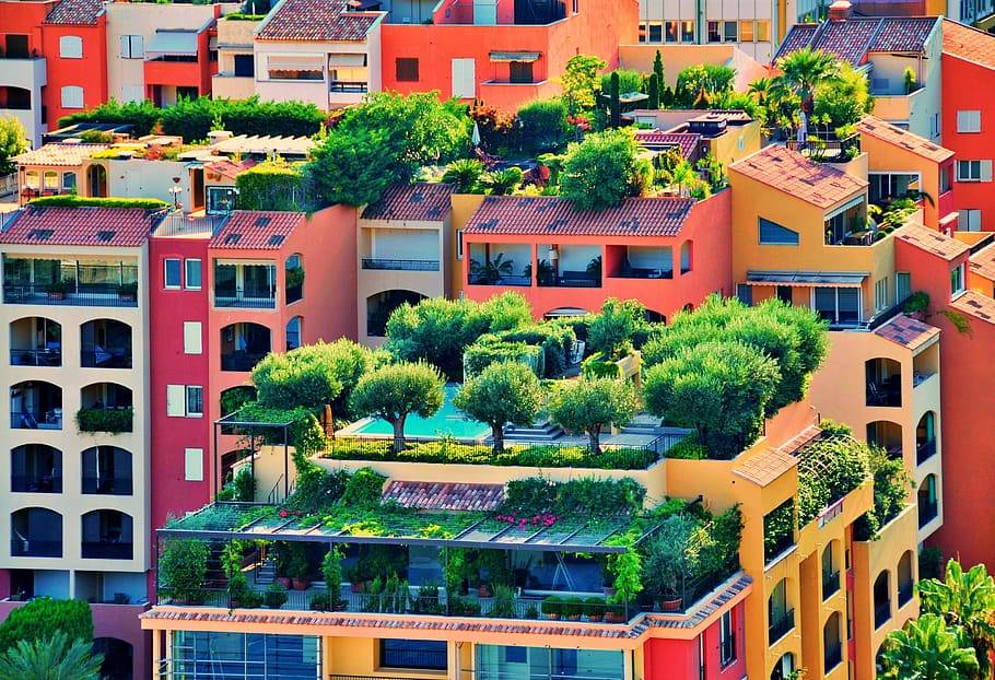 Rooftop Garden