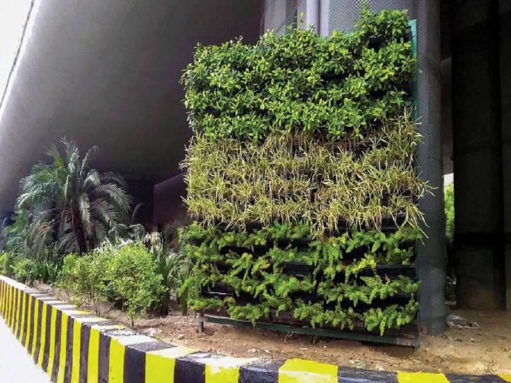 Vertical Garden are getting destroyed without proper care and maintenance