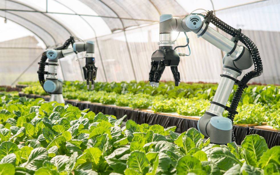 Robotic arms taking care of crops