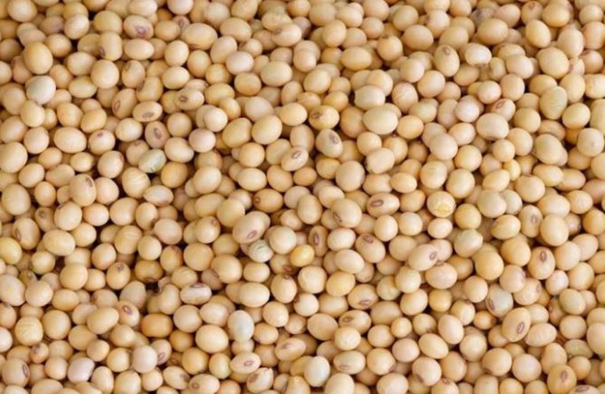 Soymeal Demand Slowing in China