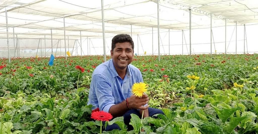 Abhinav's Gerbera Farm