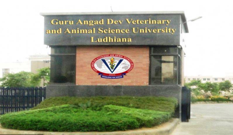 Guru Angad Dev Veterinary and Animal Sciences University