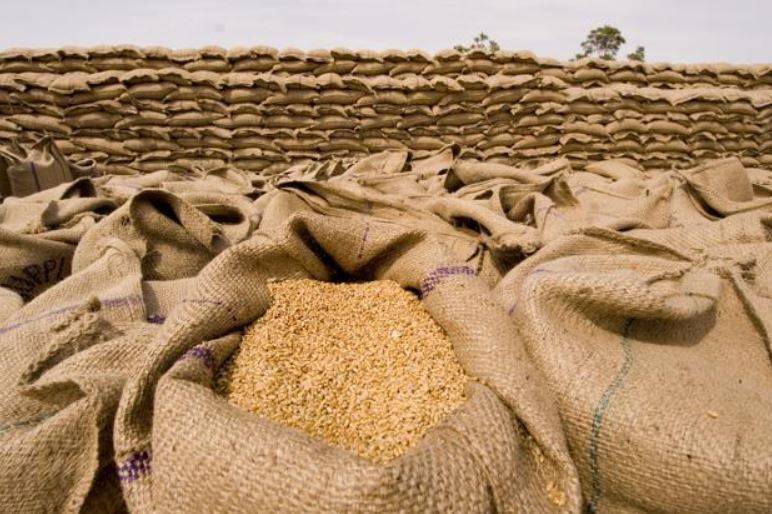 Wheat grains export