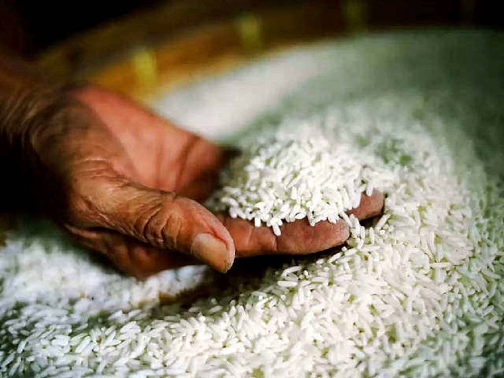 Basmati rice varieties- PB 1121 and PB 1509 at the local mandi sold for Rs.3800 and Rs.3500 per quintal