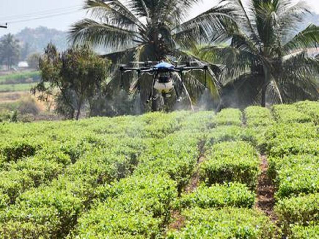 Pesticide spray using drones