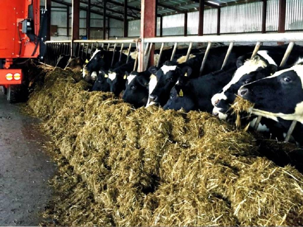 Technology would encourage farmers to raise cattle since it would increase milk productivity of cow breeds and increase the high chances of female progeny