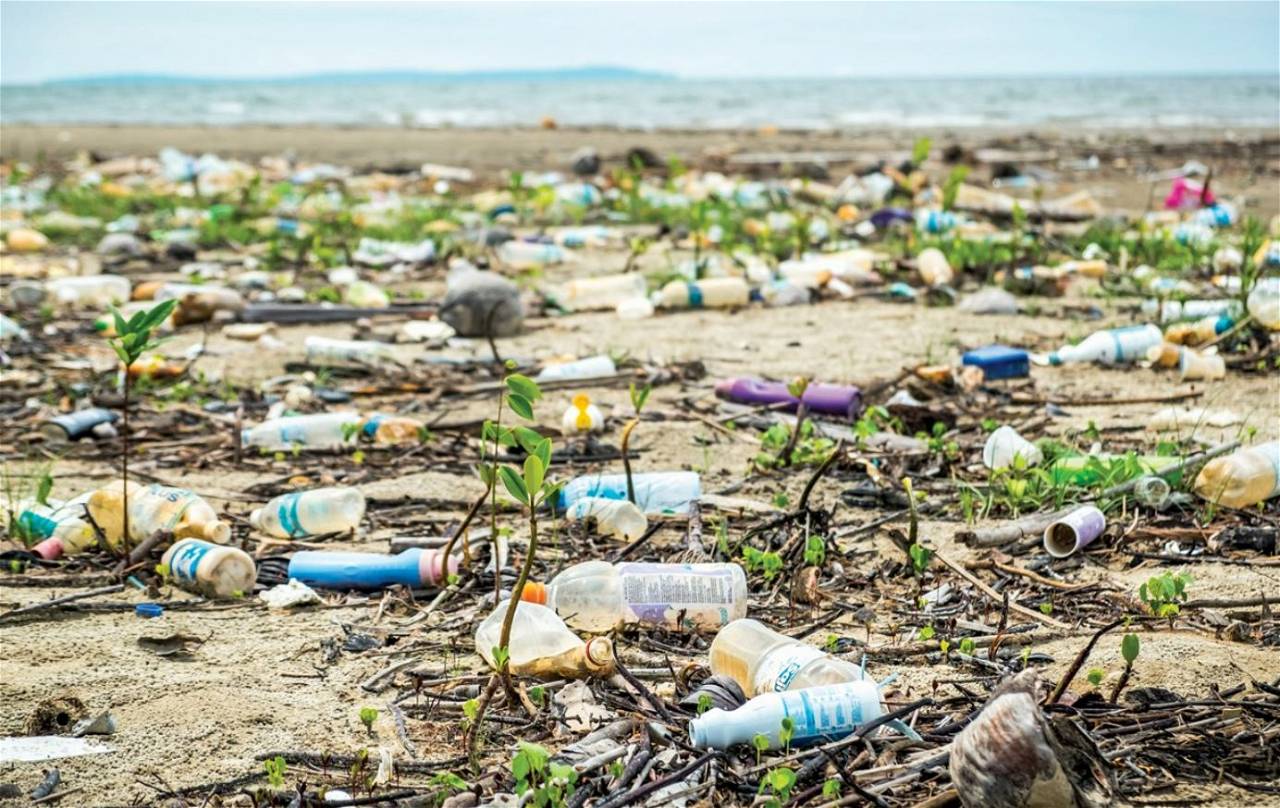 Picture depicting Plastic Pollution