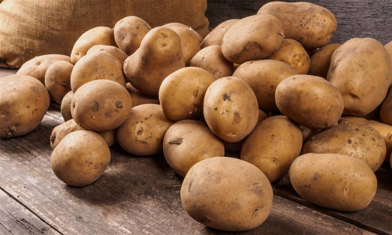 Picture of Potatoes