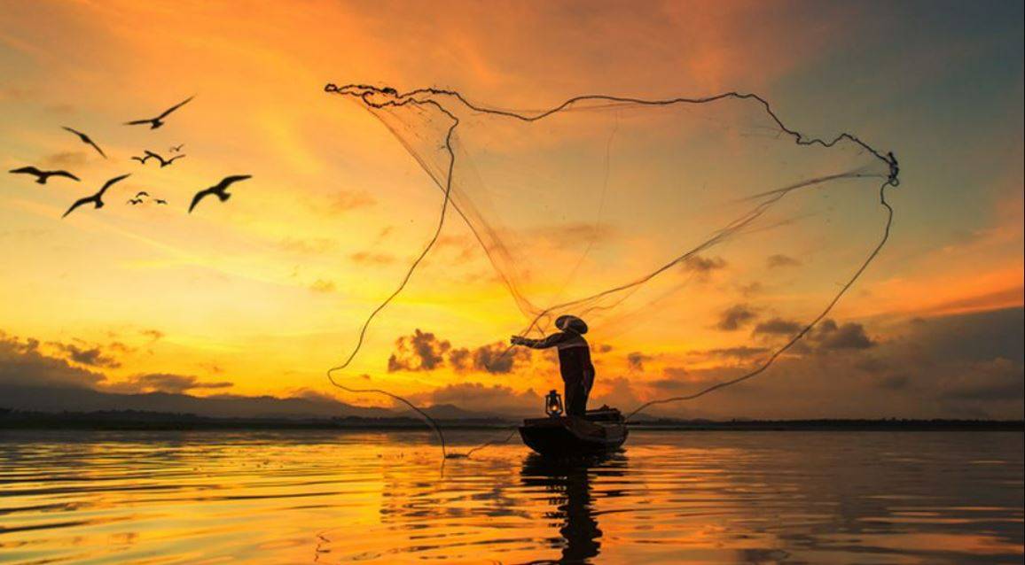 Picture of Fishing