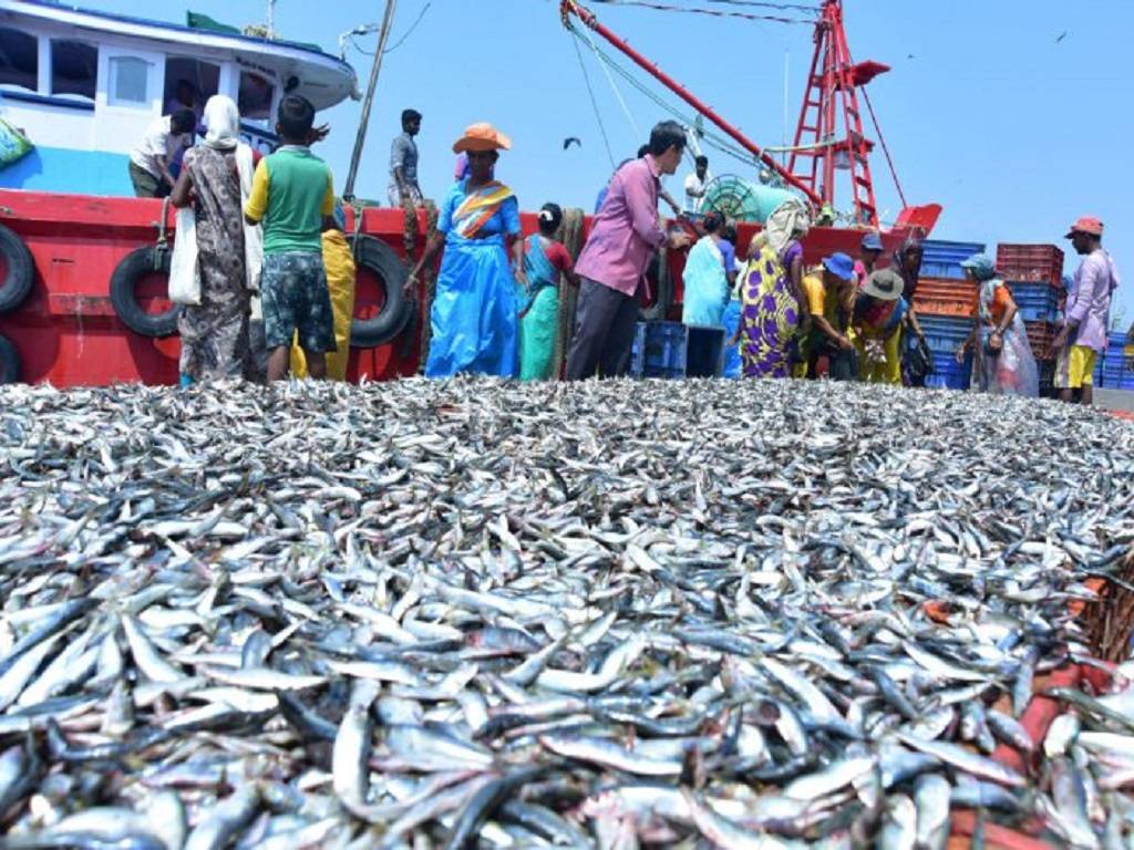 Seafood Exporters’ Association for promotion of cage culture in coastal areas