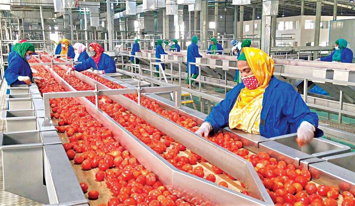 Women Working in Food Processing Sector