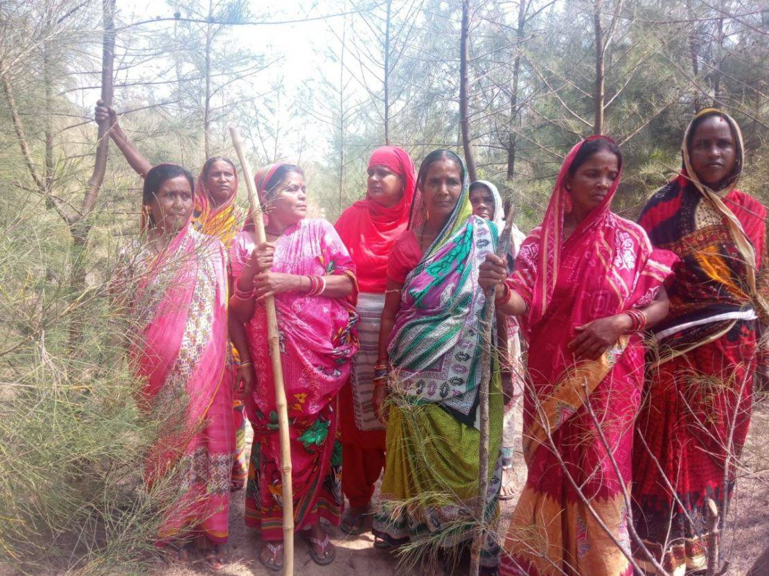 A women's squad in Odisha defends its forest for 20 years