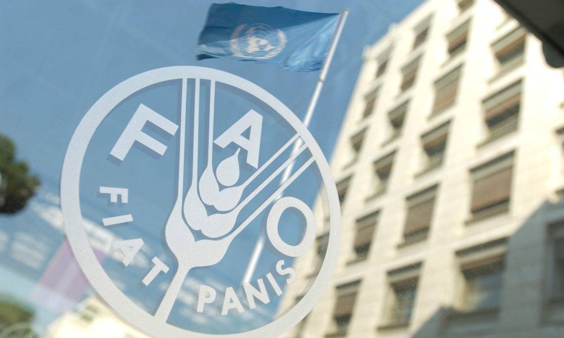 UN FAO Office