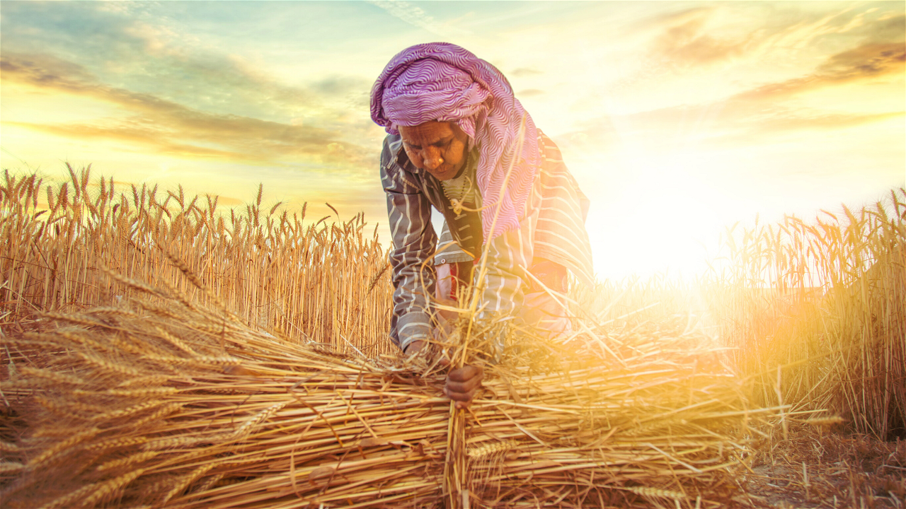 Women Farmer