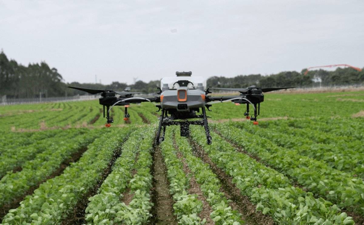 Spraying through Drone in the field