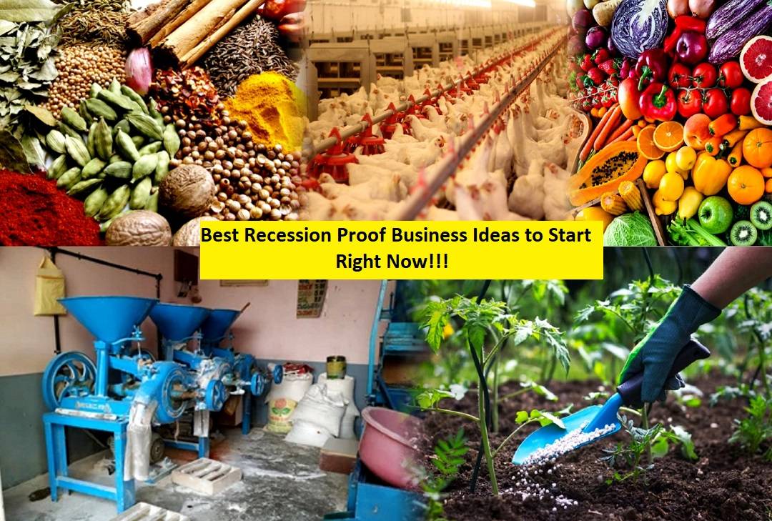 Most Profitable Agri Business Ideas