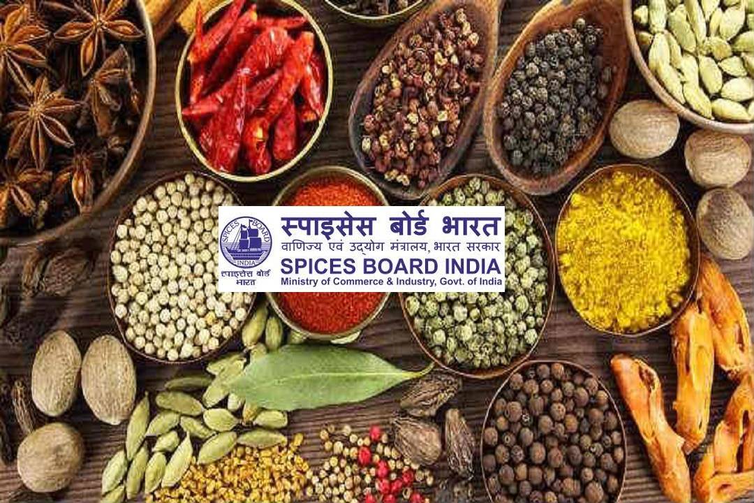 Spices Board Recruitment 2022