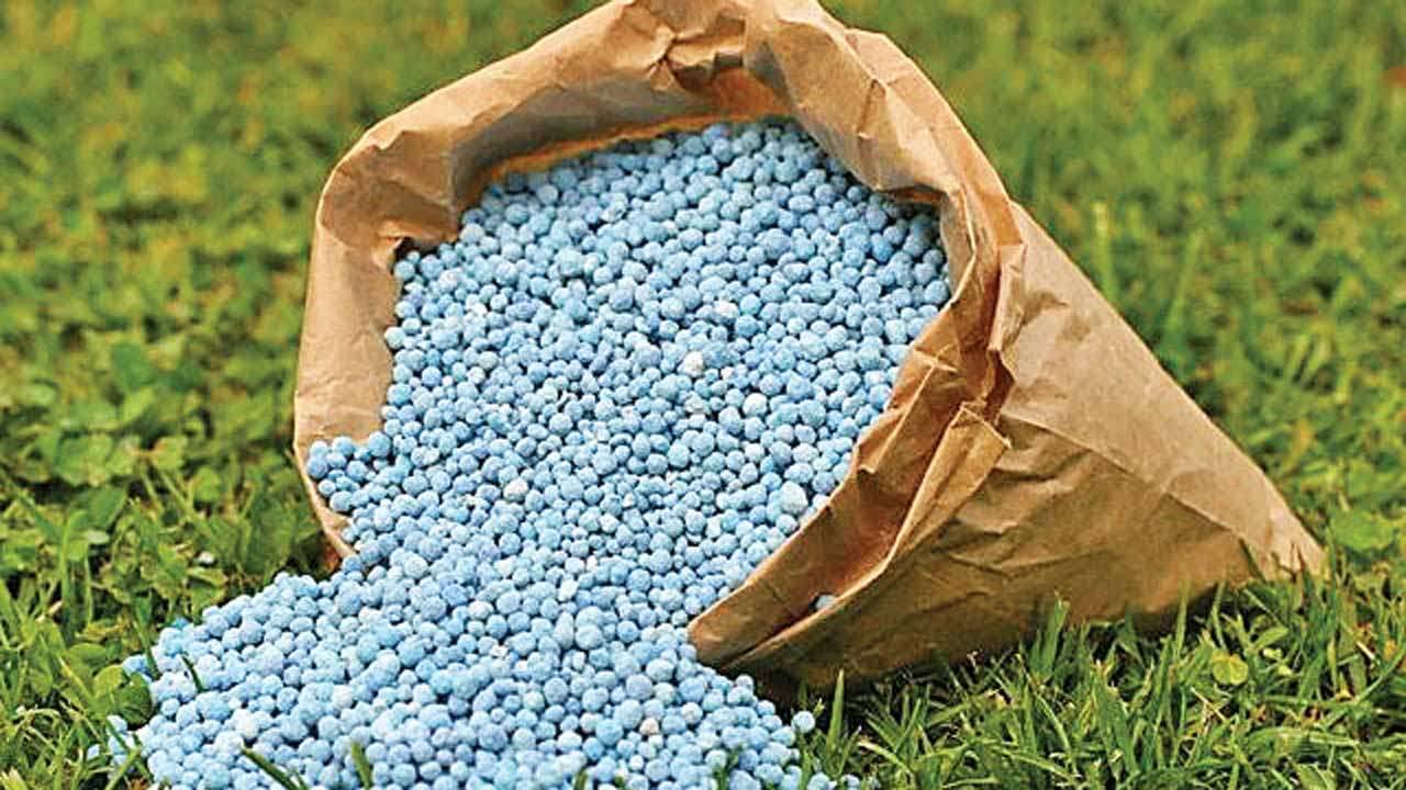 Picture of Fertilizer