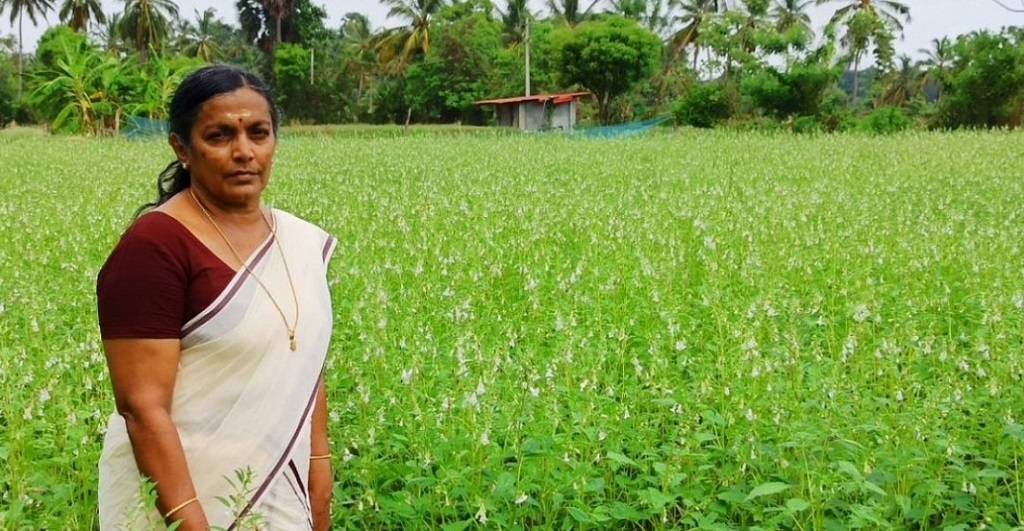 P Bhuvaneshwari and Her Organic Farm