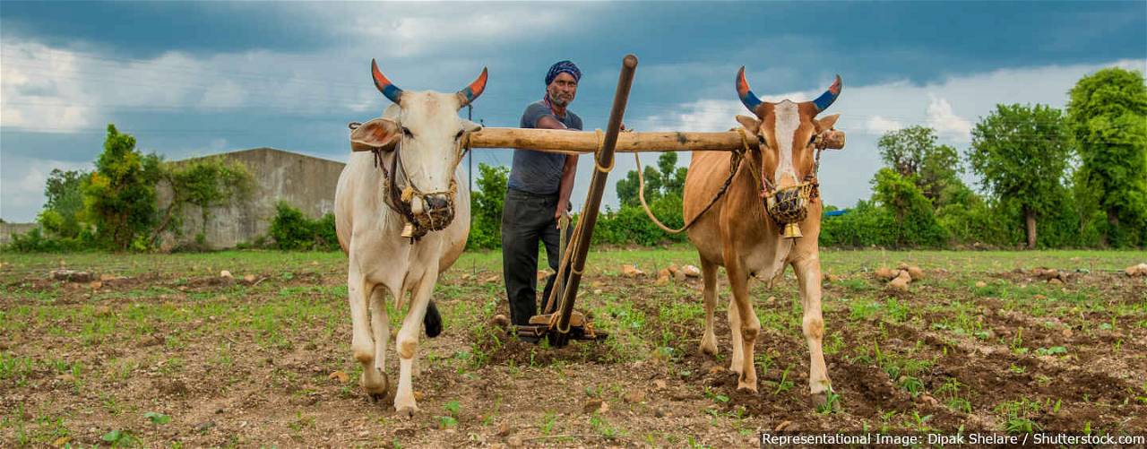 Farmer