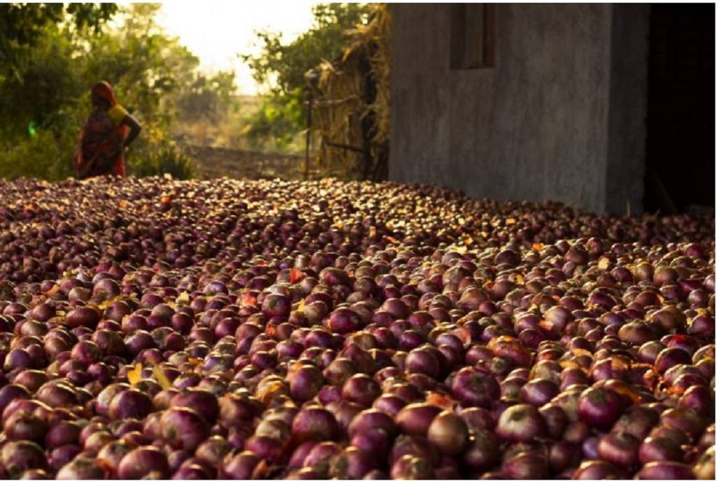 Tonnes of onions being wasted due to lack of storage facilities.