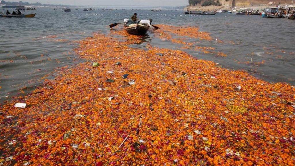 Discarded Flowers being Wasted Due To Lack Of Management Facilities