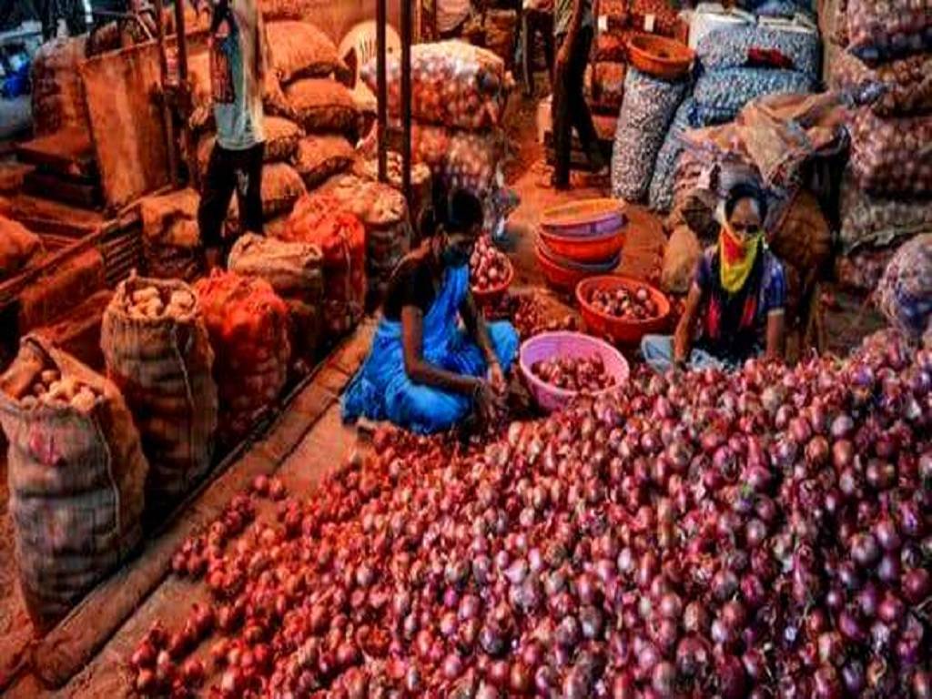 The districts of Bhavnagar and Amreli are the biggest producers of white onion and red onion