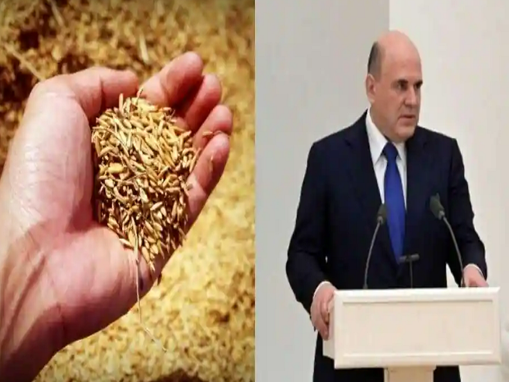 Russia posed temporarily ban on grains export