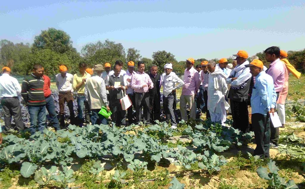 Farmers Being Taught About Limiting The Usage Of Artificial And Chemical Fertilizers