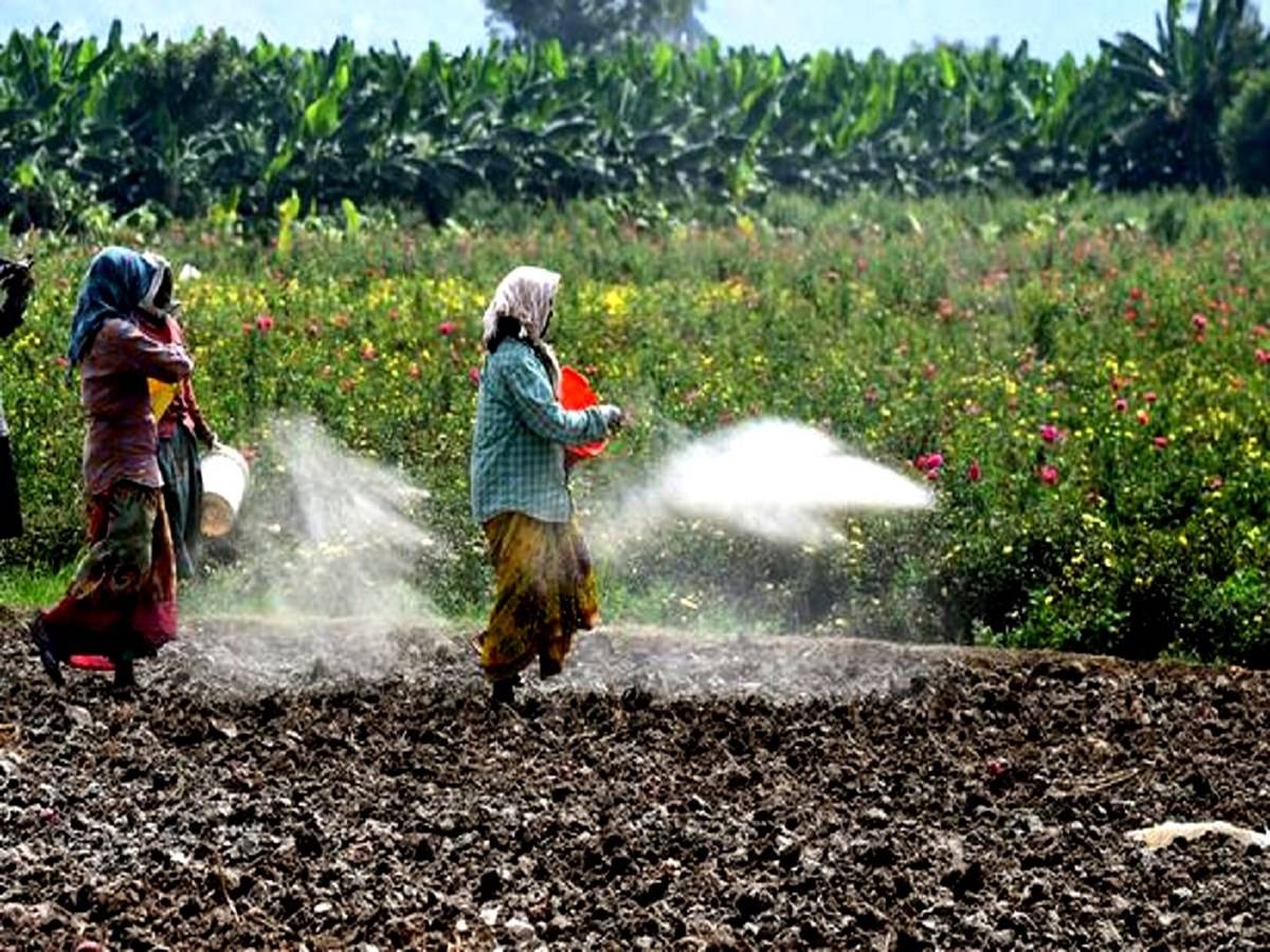 India is a major importer of fertilizers for its massive agriculture sector, which employs around 60% of the workforce and contributes to 15% of the $2.7 trillion economies