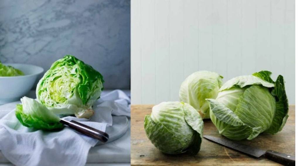 Physical Appearances Of Cabbage And Lettuce