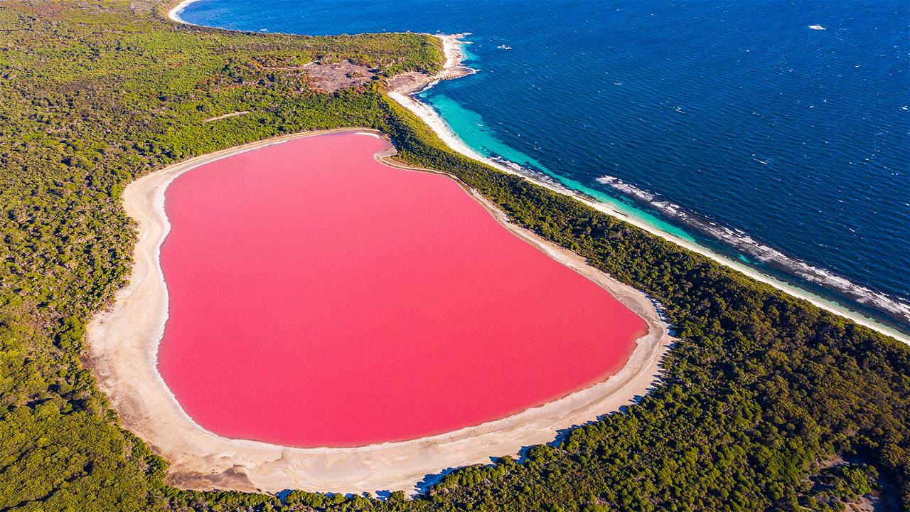 Australia's famous Pink Lake Hillier