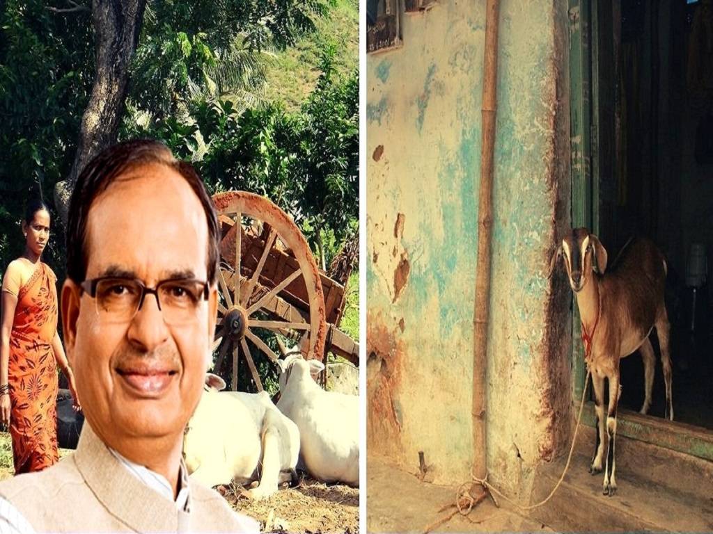 Madhya Pradesh government approved a veterinary unit scheme that would provide door-to-door treatment to domestic animals falling ill