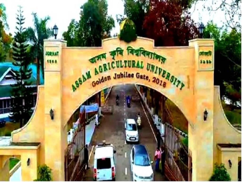Assam Agricultural University (AAU) Jorhat invites online applications from eligible Indian citizens for the following Professor, Associate Professor, and Assistant Professor positions in 2022