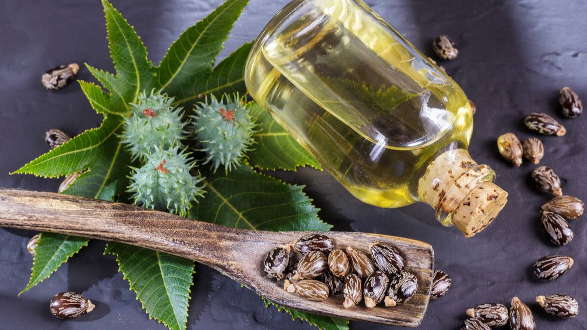 Castor Oil: A miracle for healthy skin & hair