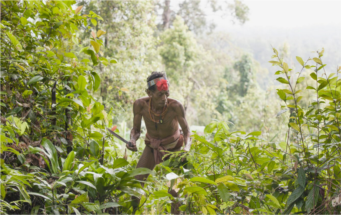 Tribal Man in Forest