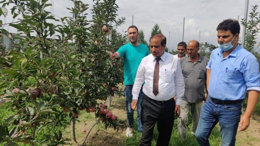 Ajaz Ahmad Bhat, Director General (DG) Horticulture, Kashmir,