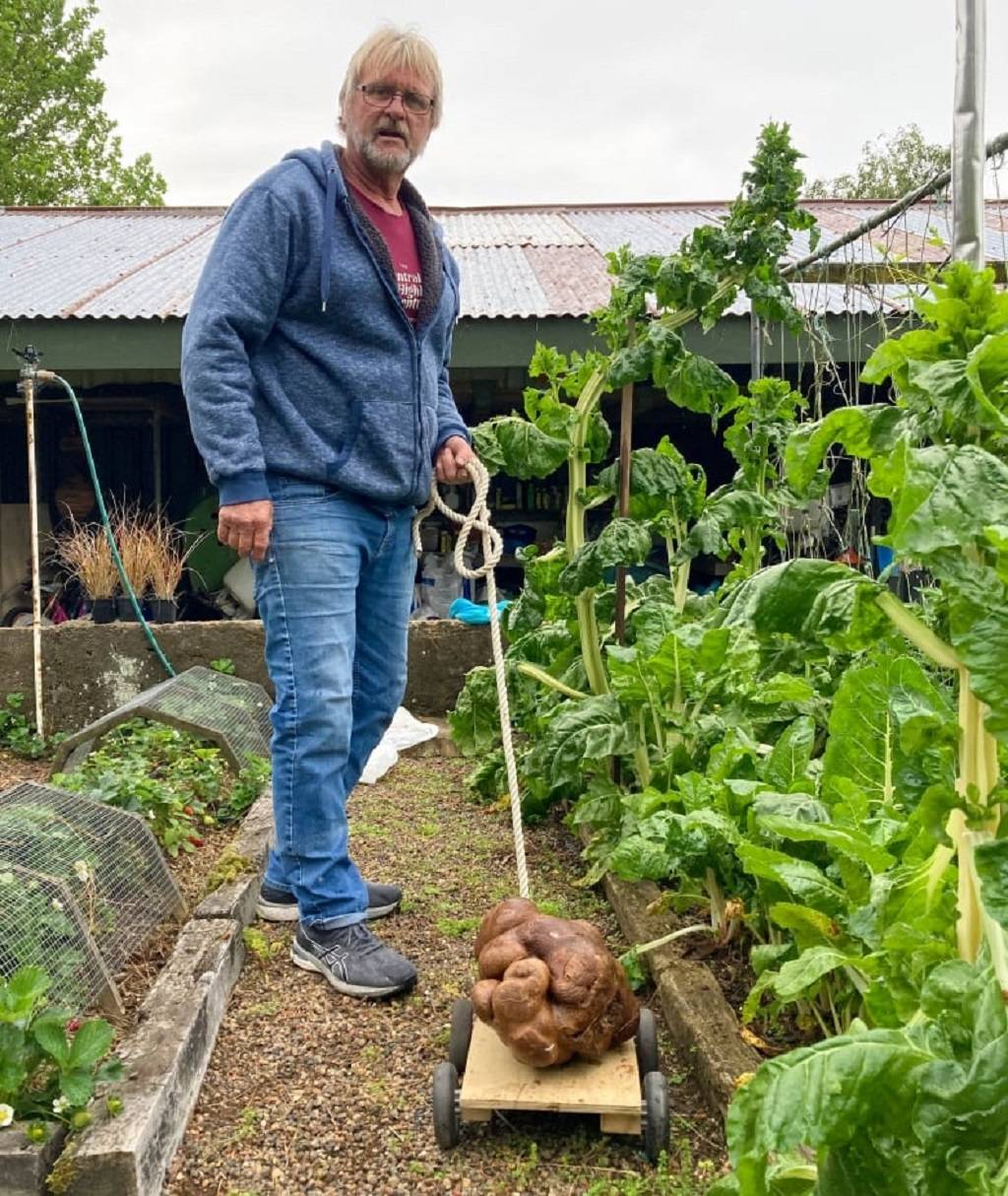 Colin Craig-Brown Discovered Doug In Its Backyard