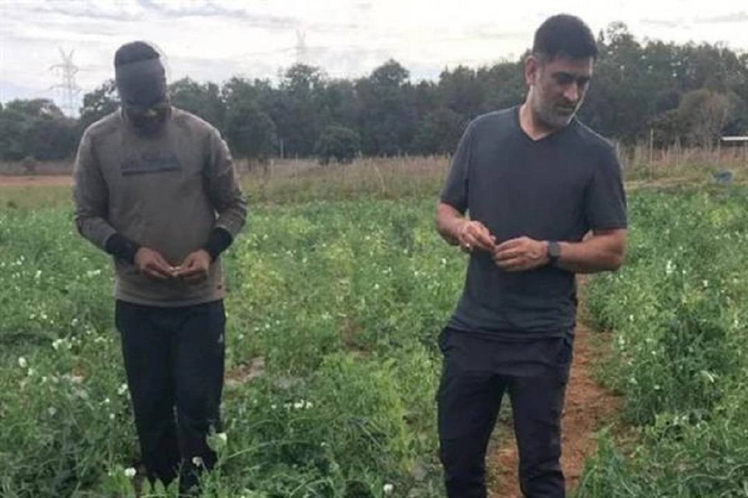 MS Dhoni in his Farm