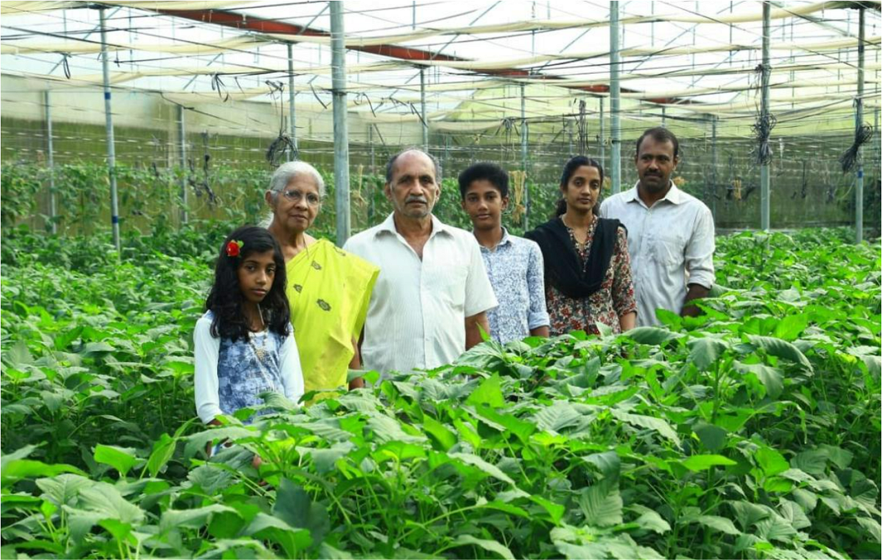 Joshy Joseph (extreme right) with his parents, wife, and children inside his polyhouse at Karinchola in Kozhikode