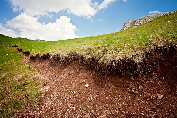 Soil Loss